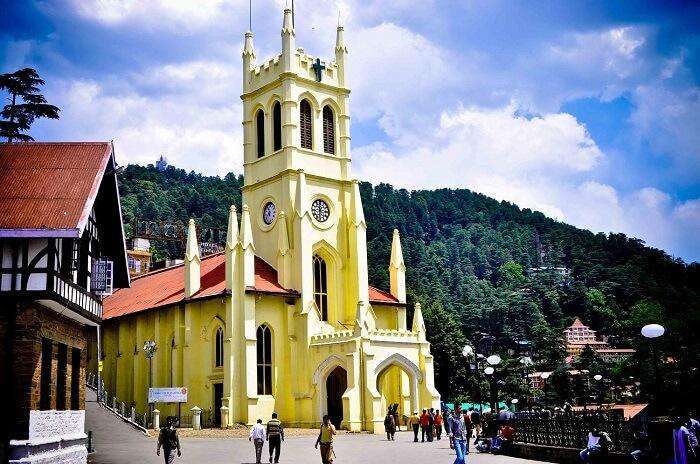 shimla tour and travels contact number